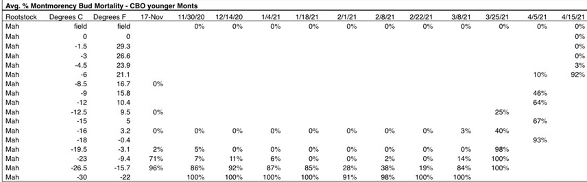 Table showing average percentages of cherry bud mortality..